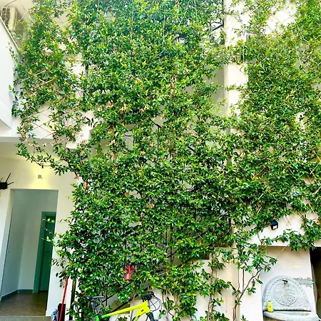 Myslym Shyri 3* 티라나