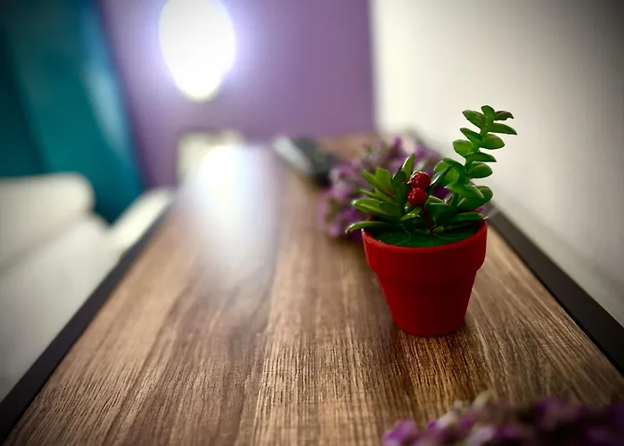 호텔 Myslym Shyri 3*