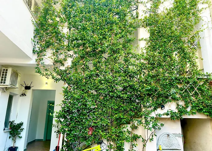 Myslym Shyri 3* Tirana